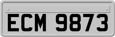 ECM9873