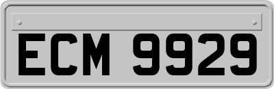 ECM9929