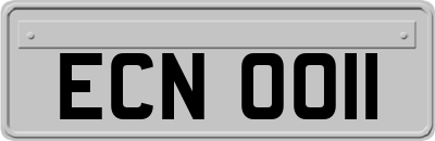 ECN0011