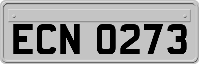 ECN0273