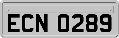 ECN0289