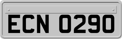 ECN0290