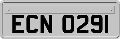 ECN0291