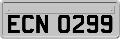 ECN0299