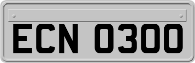 ECN0300