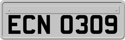ECN0309