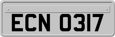 ECN0317