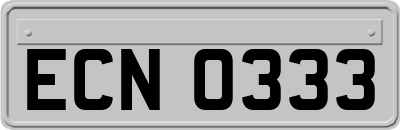 ECN0333