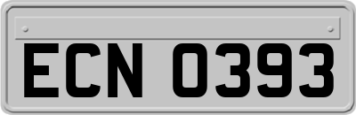 ECN0393