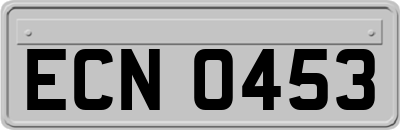 ECN0453