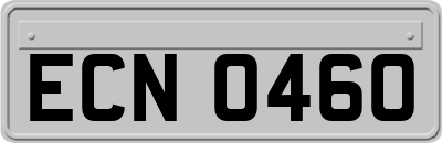 ECN0460