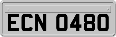 ECN0480