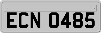 ECN0485