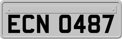ECN0487