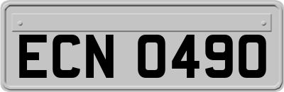 ECN0490