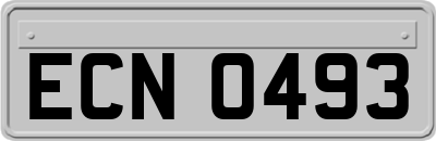 ECN0493