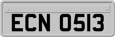 ECN0513