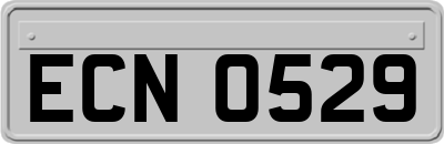 ECN0529