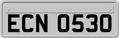ECN0530