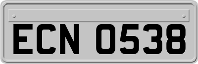 ECN0538
