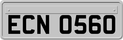 ECN0560