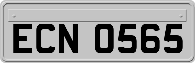 ECN0565