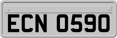 ECN0590