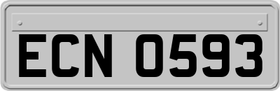 ECN0593