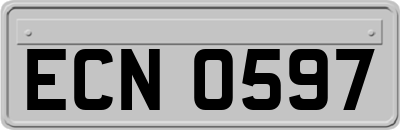 ECN0597