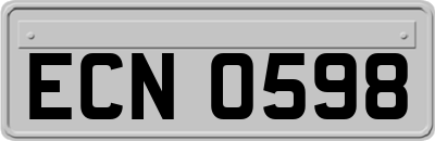 ECN0598