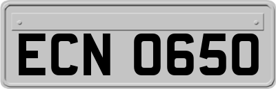 ECN0650