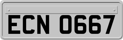 ECN0667