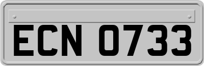 ECN0733