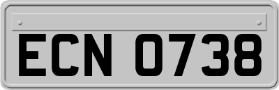 ECN0738