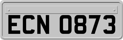 ECN0873