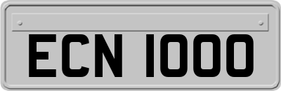 ECN1000