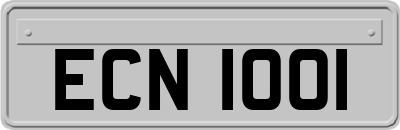 ECN1001
