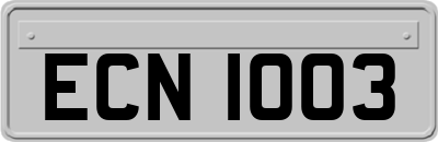 ECN1003