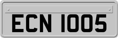ECN1005