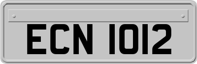 ECN1012