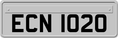 ECN1020