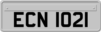 ECN1021