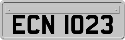 ECN1023