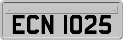ECN1025
