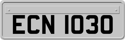 ECN1030