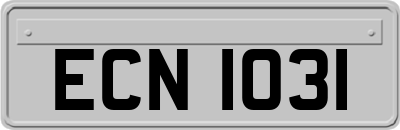ECN1031