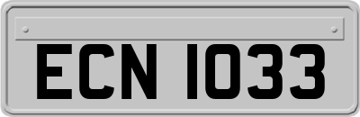 ECN1033