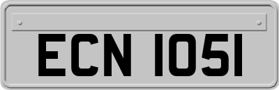 ECN1051