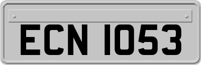 ECN1053