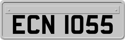ECN1055